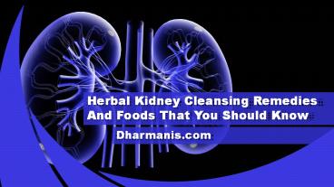 Herbal Kidney Cleansing Remedies And Foods That You Should Know
