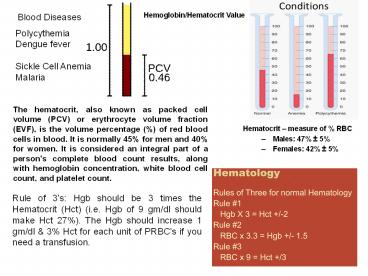 Training%20plain%20background