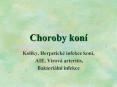 Choroby kon PowerPoint PPT Presentation