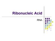 Ribonucleic Acid
