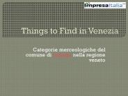 Things to Find in Venezia