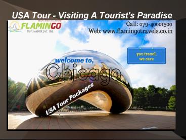 USA Tour - Visiting A Tourist's Paradise