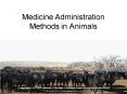 METHODS OF ADMINISTERING MEDICINE PowerPoint PPT Presentation