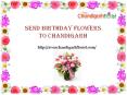 Send Birthday Flowers to Chandigarh PowerPoint PPT Presentation