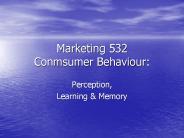 Marketing 532 Conmsumer Behaviour: