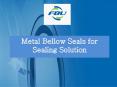 Metal Bellow Seals for Sealing Solution PowerPoint PPT Presentation
