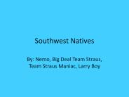 Southwest Natives