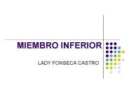 MIEMBRO INFERIOR