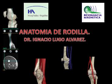 ANATOMIA DE RODILLA.