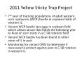 2011 Yellow Sticky Trap Project PowerPoint PPT Presentation