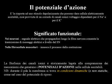 Presentazione di PowerPoint