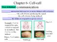 Chapter 6- Cell-cell communication PowerPoint PPT Presentation