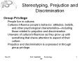 Stereotyping, Prejudice and Discrimination PowerPoint PPT Presentation