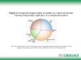 Beri A and Janetschek G (2006) Technology Insight: radioguided sentinel lymph node dissection in the staging of prostate cancer Nat Clin Pract Urol 3: 602 PowerPoint PPT Presentation