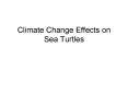 Climate Change Effects on Sea Turtles PowerPoint PPT Presentation