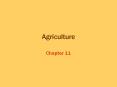 Agriculture PowerPoint PPT Presentation