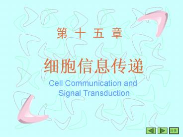 Cell Communication and