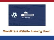 WordPress Website Running Slow! (1)