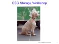 CSG Storage Workshop PowerPoint PPT Presentation