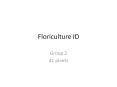 Floriculture ID PowerPoint PPT Presentation
