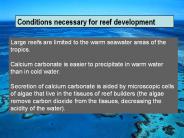 Coral Reefs and Lagoons