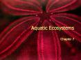 Aquatic Ecosystems PowerPoint PPT Presentation