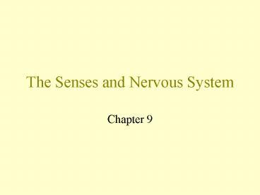 The Senses and Nervous System