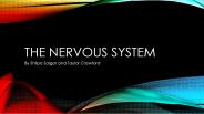 The Nervous System