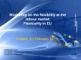 Workshop on the flexibility at the labour market Flexicurity in EU PowerPoint PPT Presentation