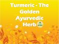 Turmeric - The Golden Ayurvedic Herb