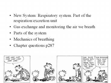 New System: Respiratory system. Part of the respiration/excretion unit