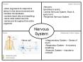Nervous System PowerPoint PPT Presentation