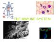 THE IMMUNE SYSTEM PowerPoint PPT Presentation