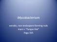 Mycobacterium PowerPoint PPT Presentation