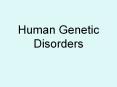 Human Genetic Disorders PowerPoint PPT Presentation