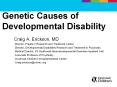 Genetic%20Causes%20of%20Developmental%20Disability PowerPoint PPT Presentation