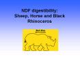 NDF digestibility: Sheep, Horse and Black Rhinoceros PowerPoint PPT Presentation