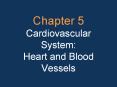 Chapter 5 Cardiovascular System: Heart and Blood Vessels PowerPoint PPT Presentation