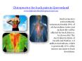 chiropractor for back pain in queensland PowerPoint PPT Presentation