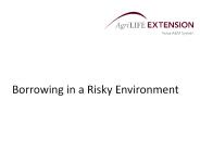 Borrowing in a Risky Environment