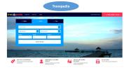 Book Low Cost Air Tickets Online - Travopedia