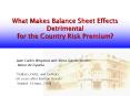 What Makes Balance Sheet Effects Detrimental for the Country Risk Premium? PowerPoint PPT Presentation