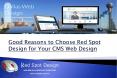 Good Reasons to Choose Red Spot Design for Your CMS Web Design PowerPoint PPT Presentation