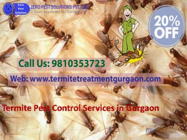 Get 20% Off On Termite Pest Control Services In Gurgaon Call 9810353723