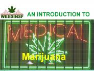 Medical Marijuana Doctor San Francisco