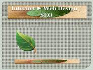 Web Developers South Florida