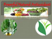 Powerful Natural Antioxidant