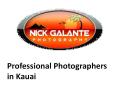 Professional Photographers in Kauai PowerPoint PPT Presentation