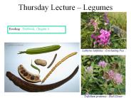 Thursday Lecture 