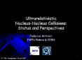 Ultrarelativistic Nucleus-Nucleus Collisions: Status and Perspectives PowerPoint PPT Presentation